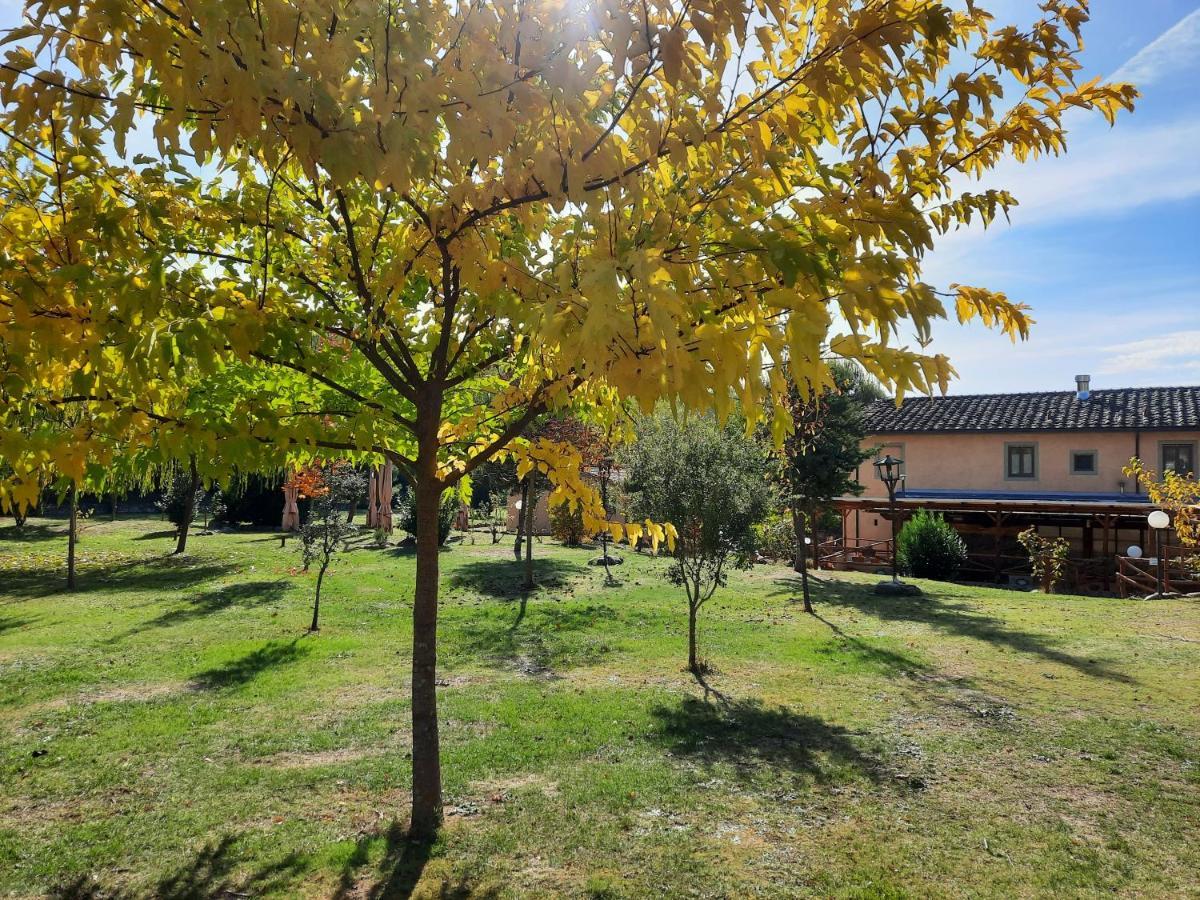 Sassomatto B&B Bioagriturelax Campogialli Экстерьер фото